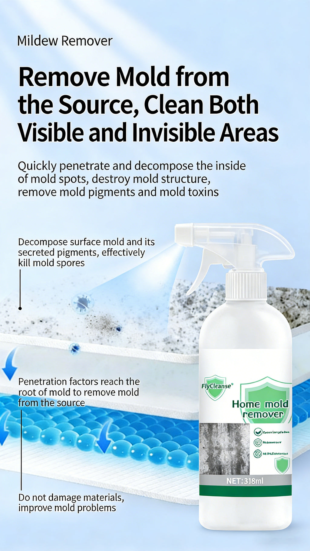 Mold Remover