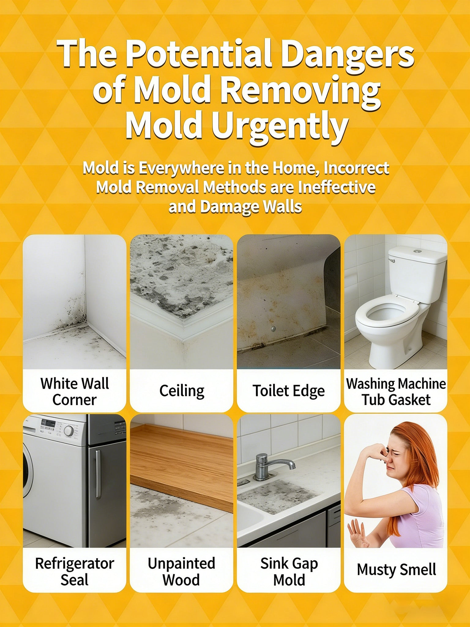 Mold Remover