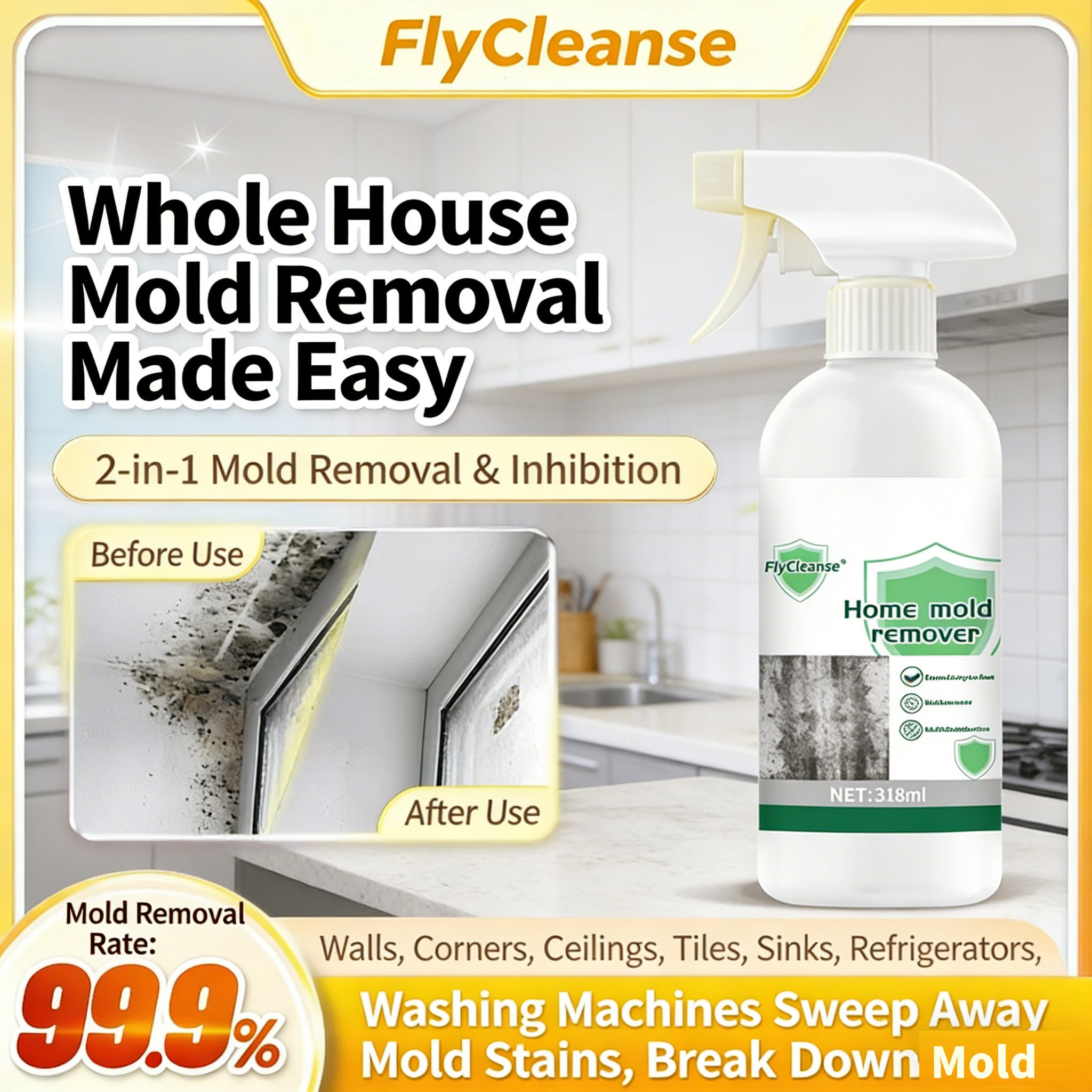 Mold Remover